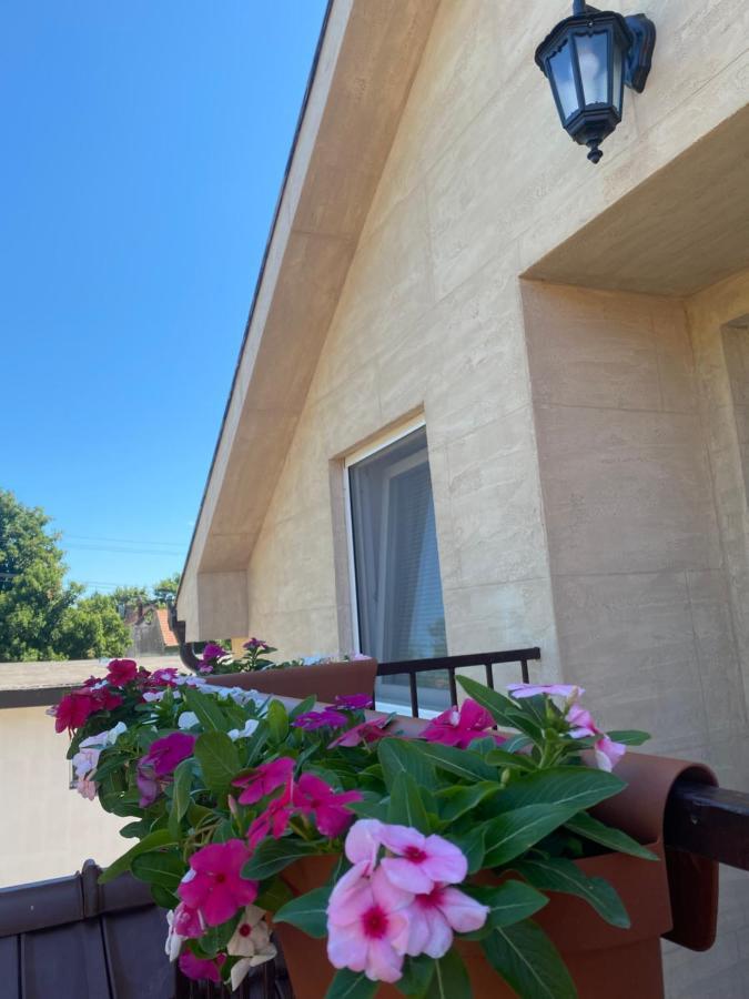 Omis Rooms Pančevo Exteriér fotografie