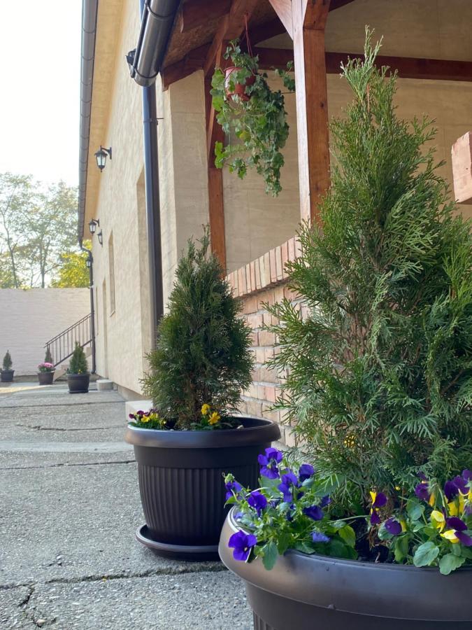 Omis Rooms Pančevo Exteriér fotografie